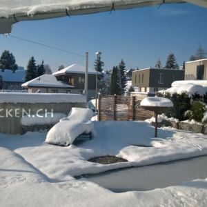 Winter 006